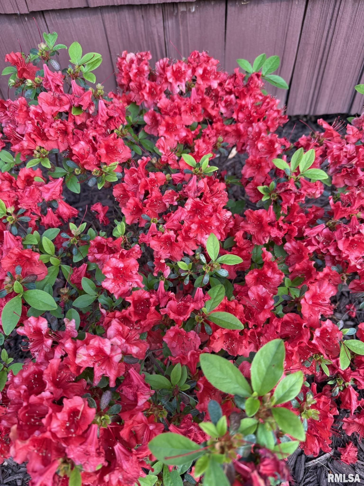 90 Pinehurst Drive Springfield, IL 62704 - Photo 4 of 24