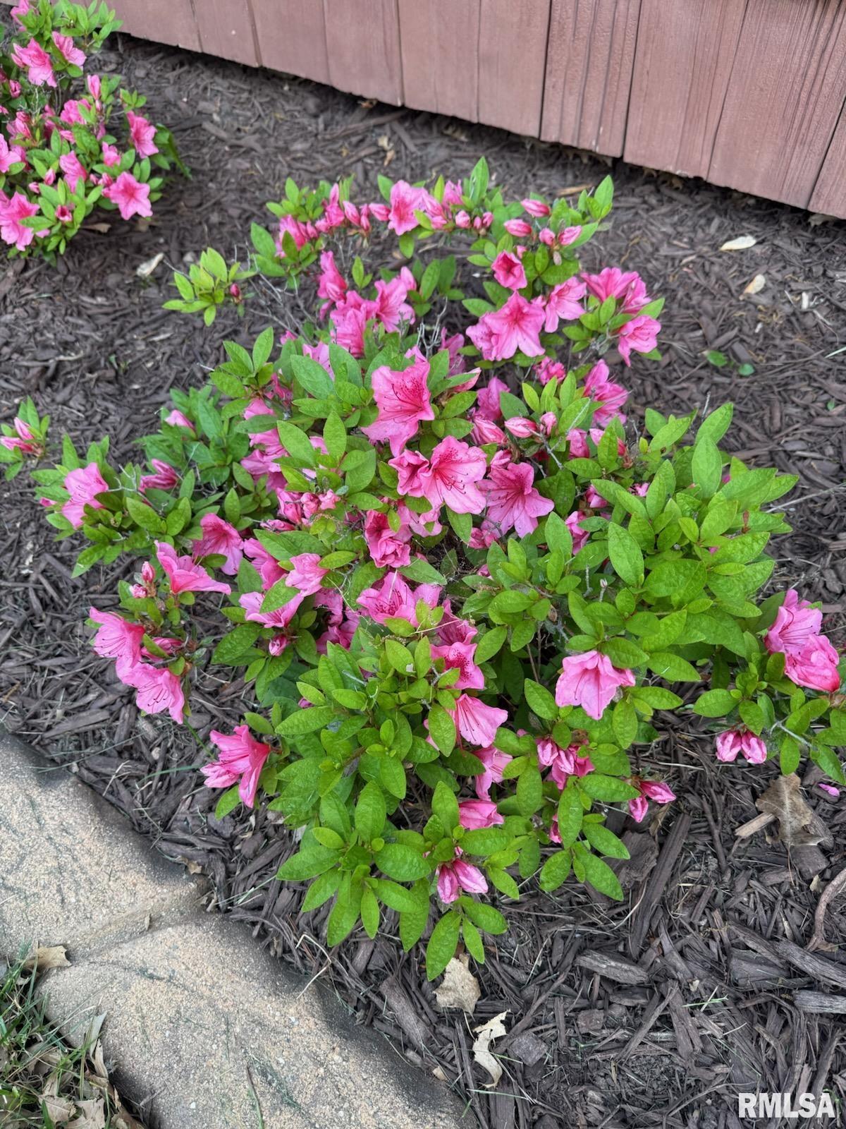 90 Pinehurst Drive Springfield, IL 62704 - Photo 5 of 24