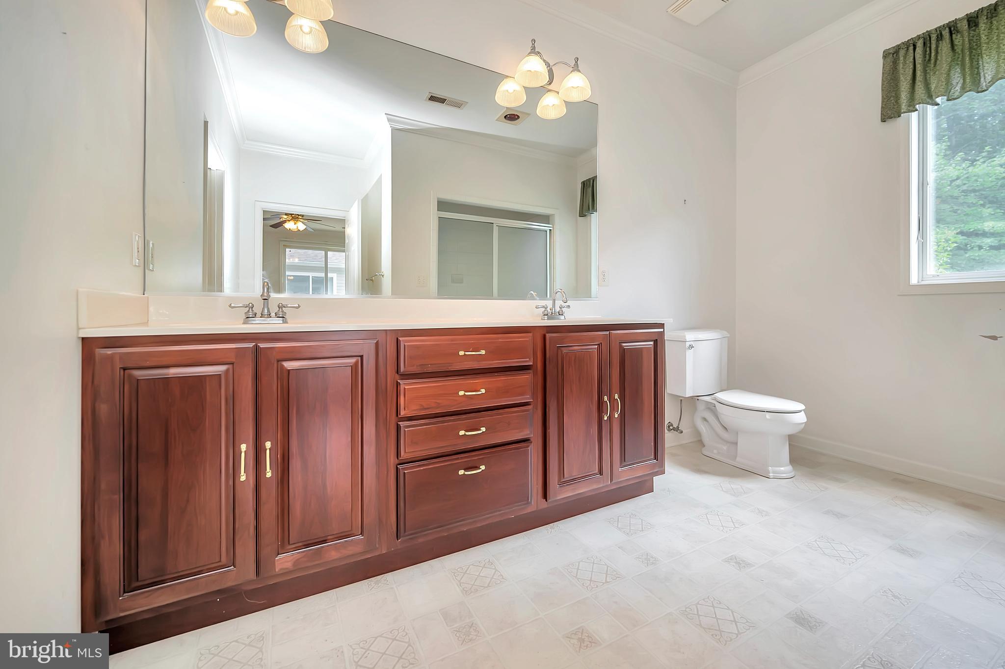 31342 Paynes Farm Locust Grove, VA 22508 - Photo 16 of 33 En-suite bath