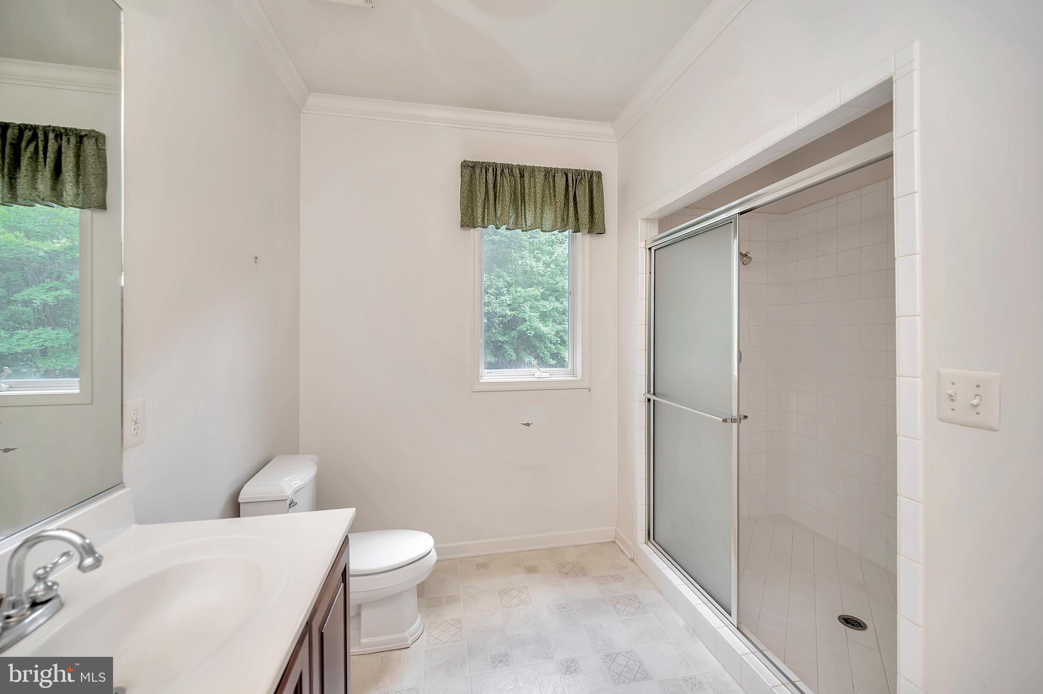 31342 Paynes Farm Locust Grove, VA 22508 - Photo 17 of 33 Huge double-headed shower