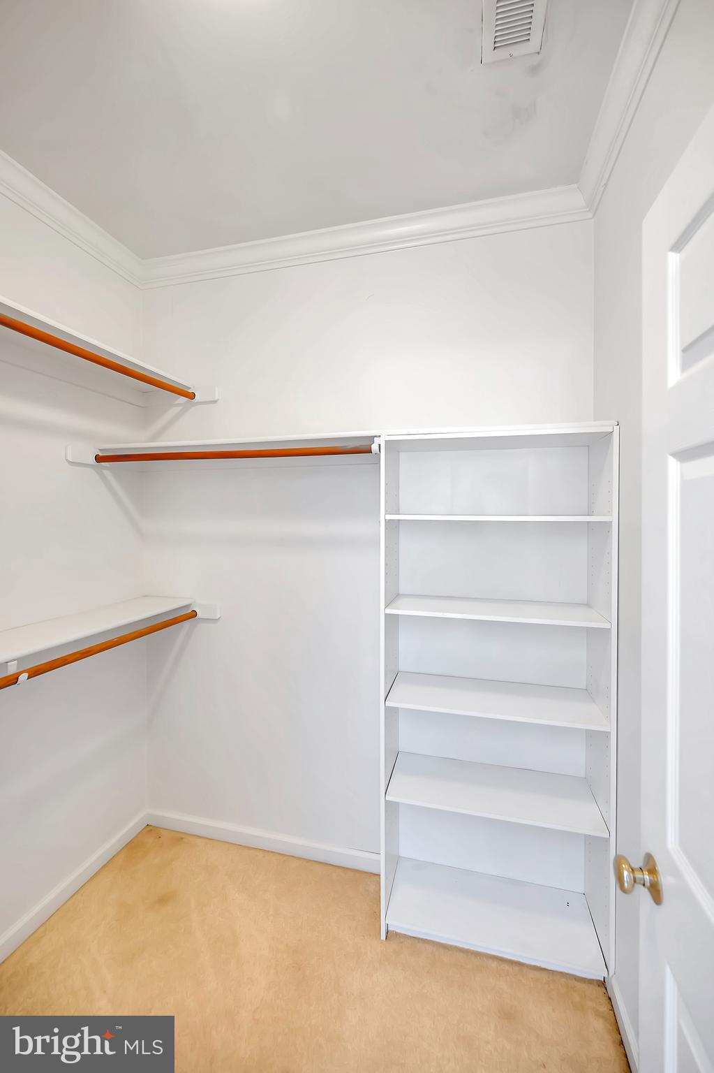 31342 Paynes Farm Locust Grove, VA 22508 - Photo 21 of 33 Walk in closet