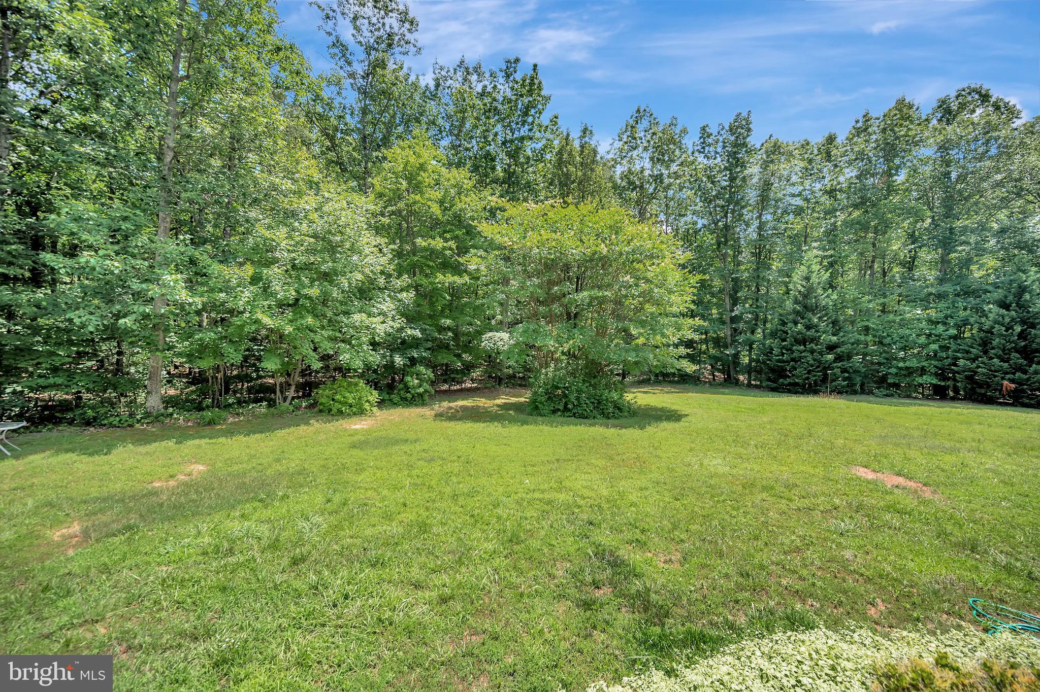 31342 Paynes Farm Locust Grove, VA 22508 - Photo 30 of 33 So private and beautiful