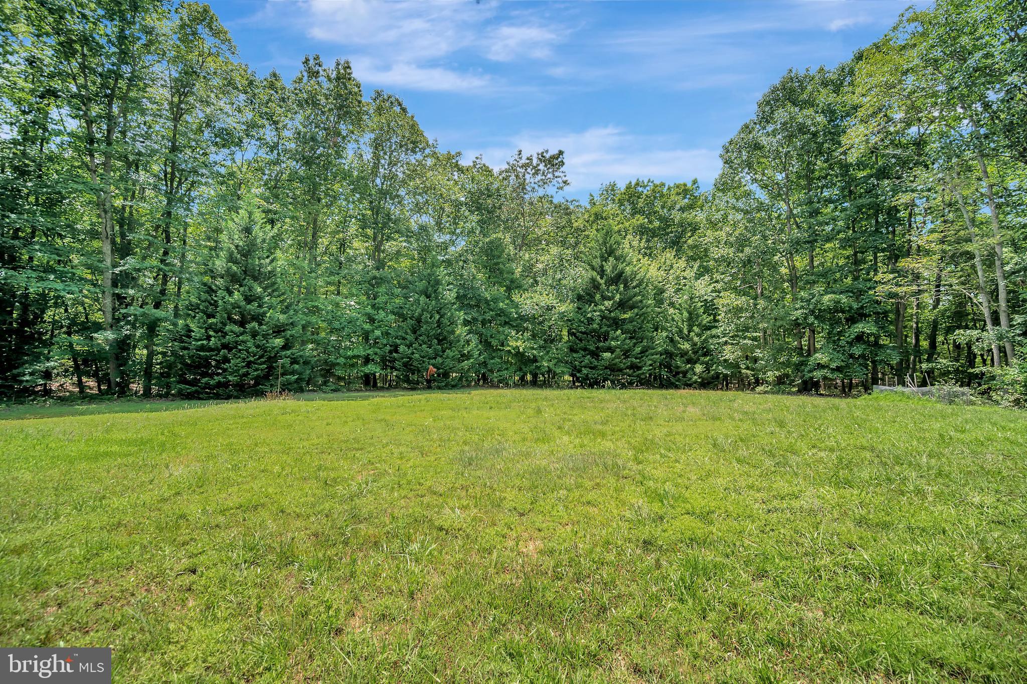 31342 Paynes Farm Locust Grove, VA 22508 - Photo 31 of 33 Put your pool here or maybe a garden
