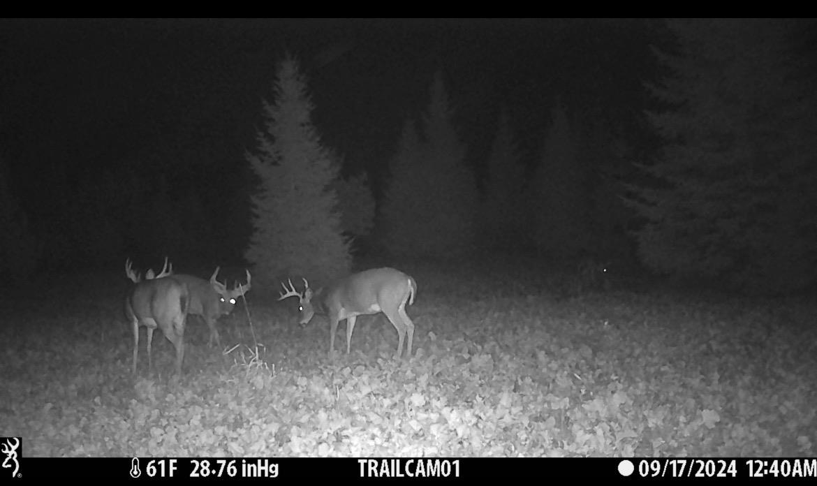 Red Hickory Road Eland, WI 54427 - Photo 23 of 28