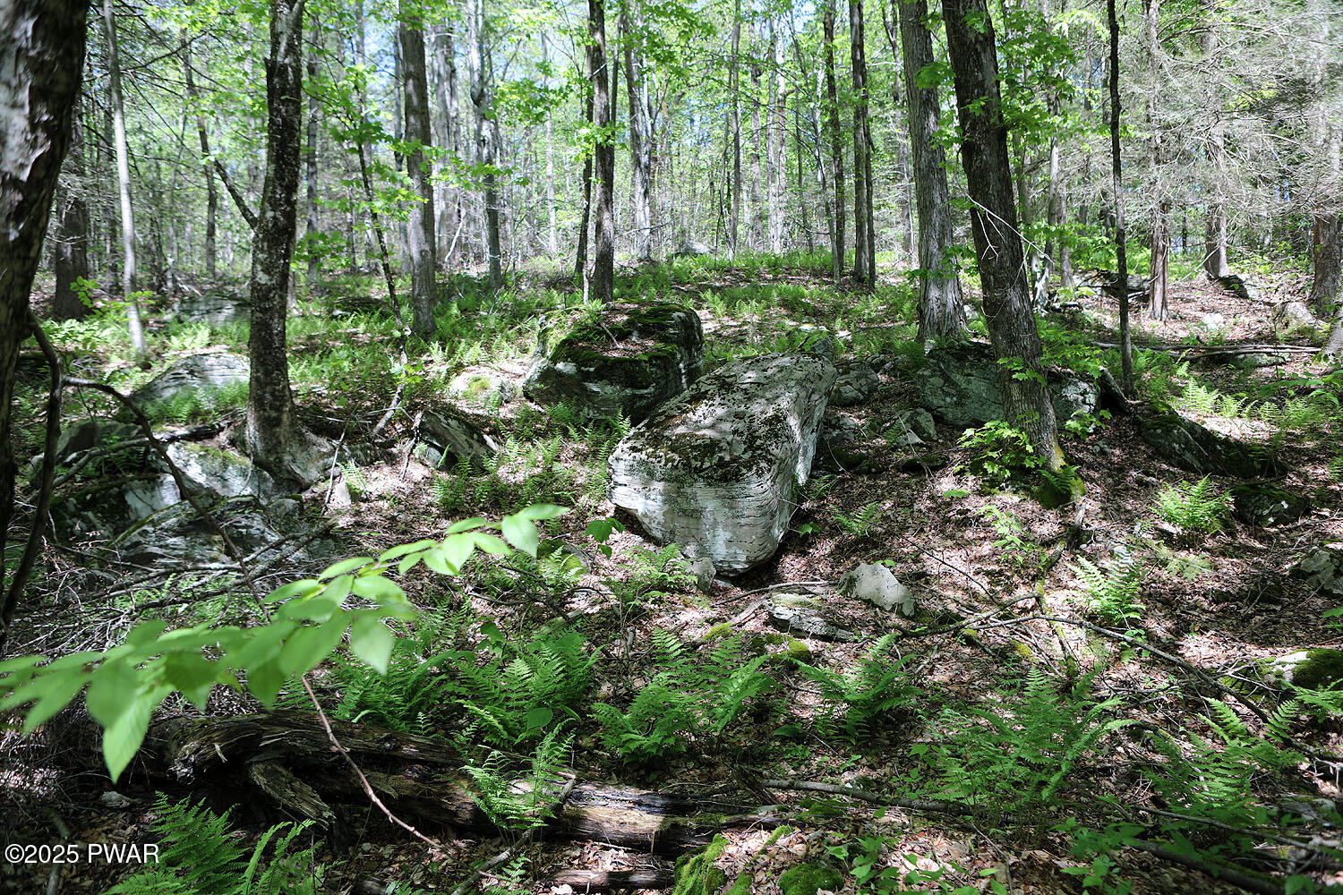 0 John Milk Road Hancock, NY 13783 - Photo 19 of 47