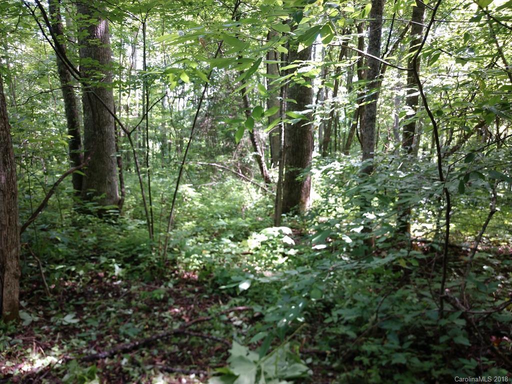 1159 Conley Mountain Association Road Whittier, NC 28789 - Photo 1 of 8 Gallery Image 1