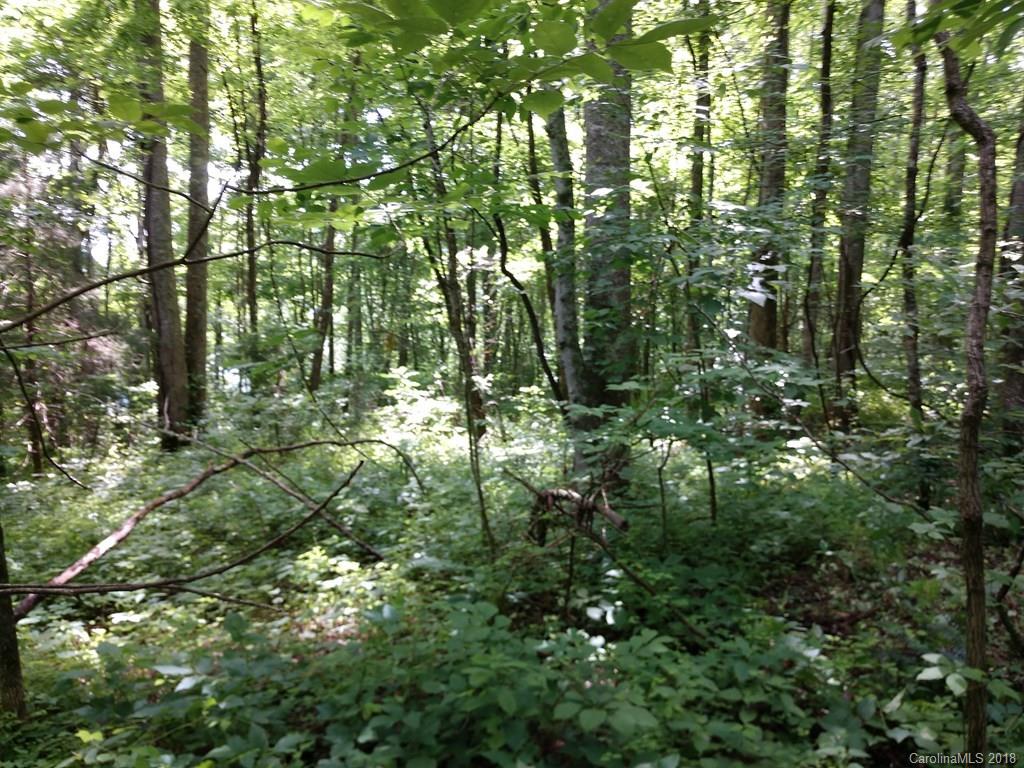 1159 Conley Mountain Association Road Whittier, NC 28789 - Photo 2 of 8 Gallery Image 2