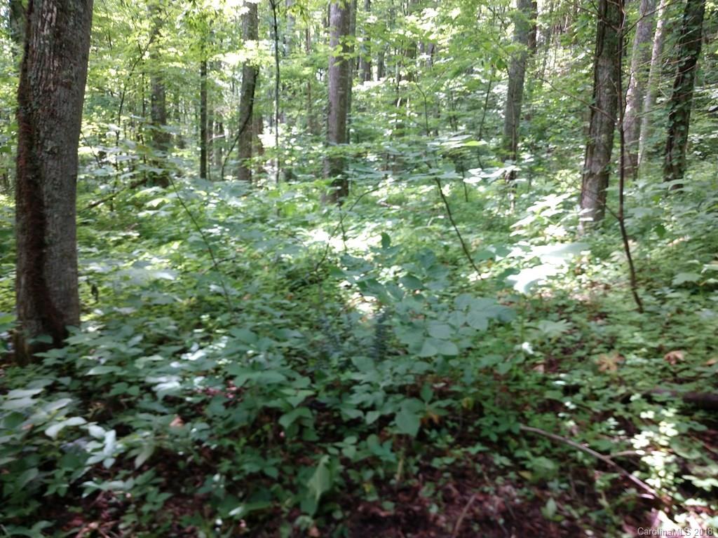 1159 Conley Mountain Association Road Whittier, NC 28789 - Photo 3 of 8 Gallery Image 3