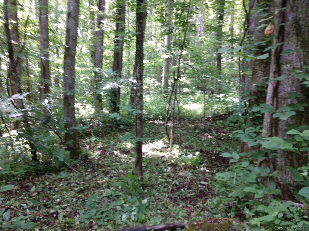 1159 Conley Mountain Association Road Whittier, NC 28789 - Photo 5 of 8 Gallery Image 5