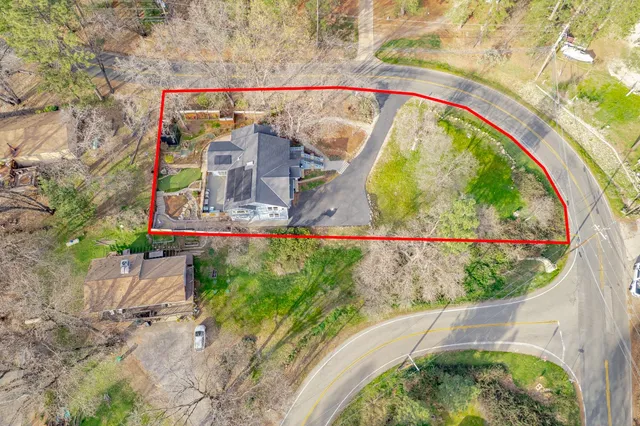 a view of a yard with plants and trees