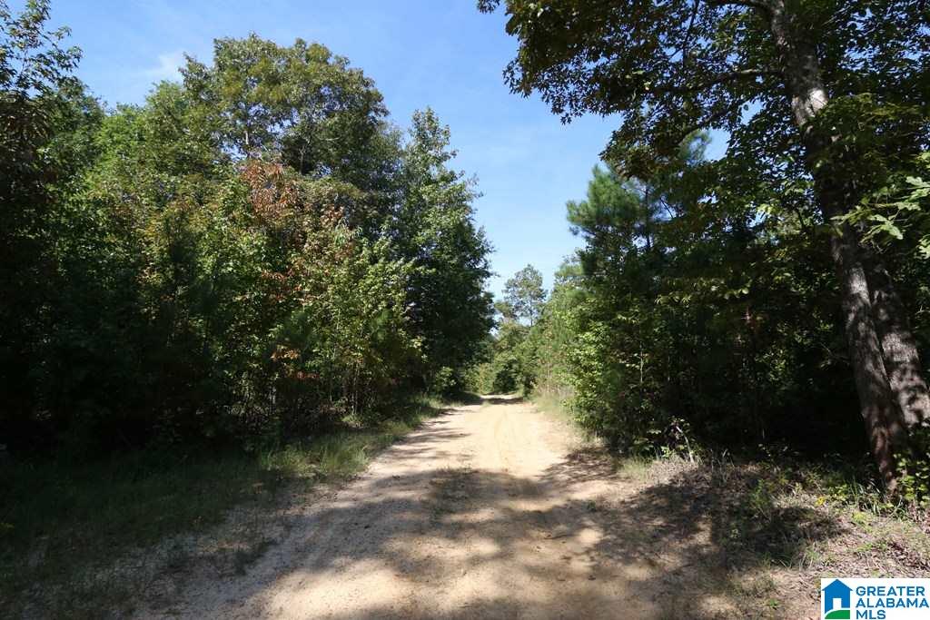 Sprayberry Road, Unit 103 Cropwell, AL 35054 - Photo 16 of 48