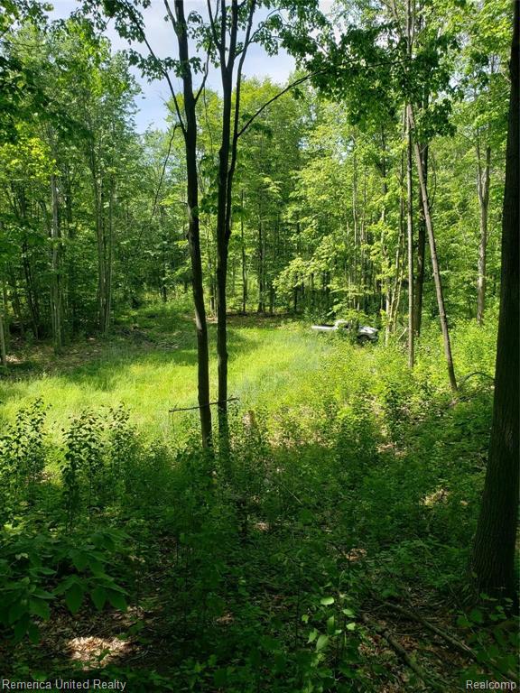 2469 East Spruce Road Spruce, MI 48762 - Photo 19 of 48