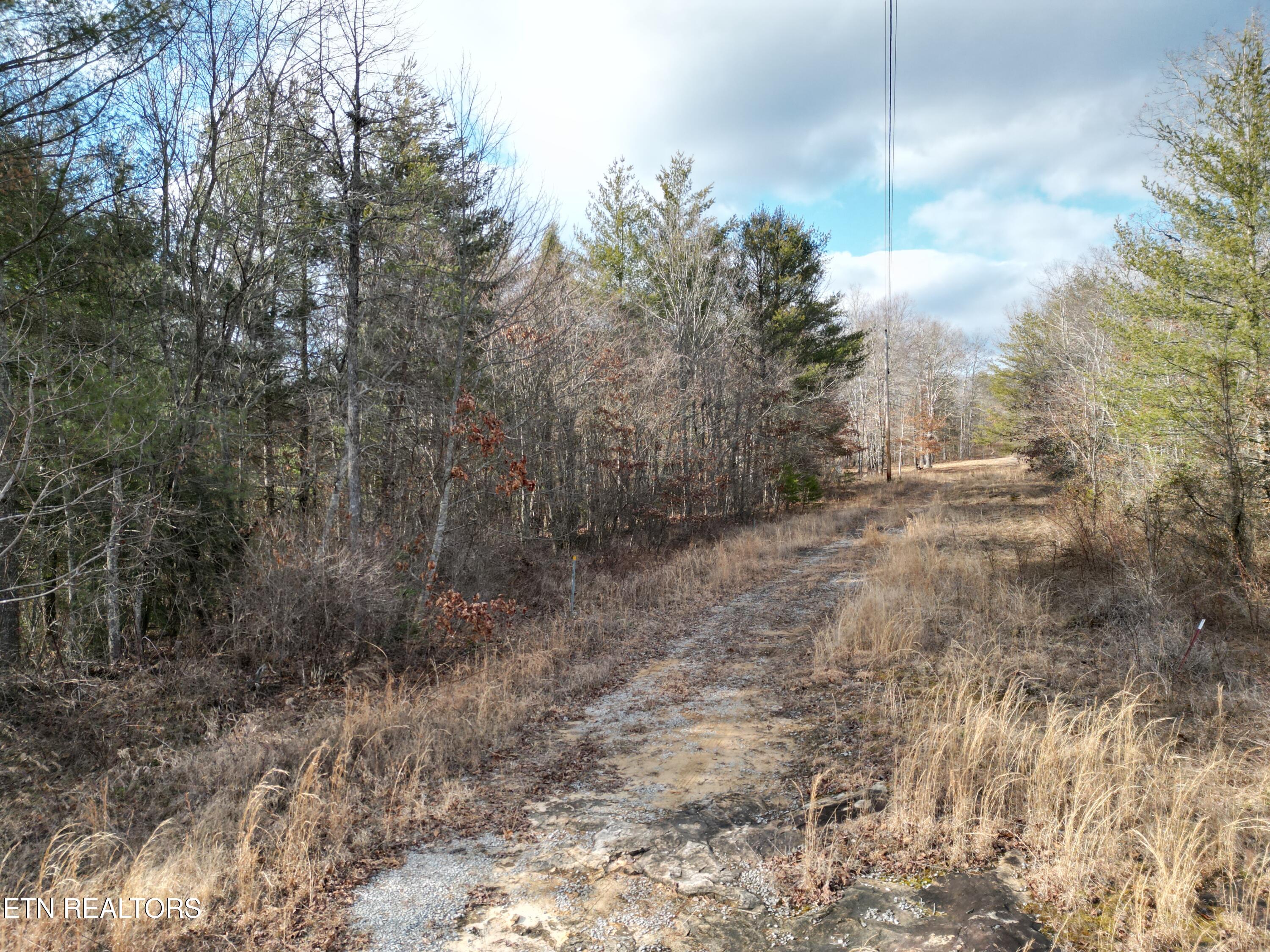 566 Williams Branch Road Lancing, TN 37770 - Photo 18 of 34 DJI_0392