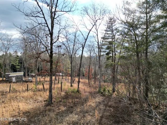 $95,000 | 566 Williams Branch Road, Lancing, TN 37770