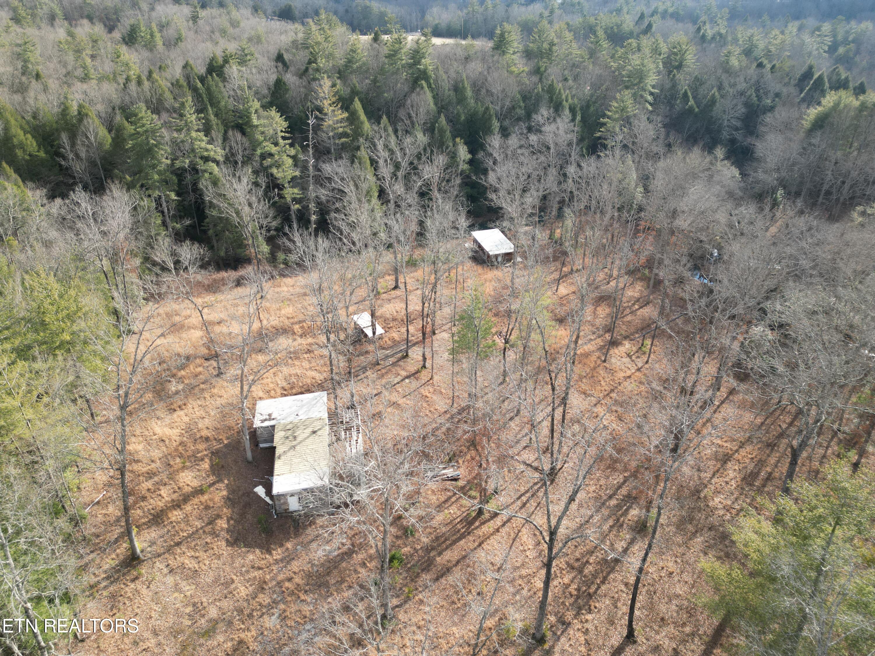 566 Williams Branch Road Lancing, TN 37770 - Photo 20 of 34 DJI_0396