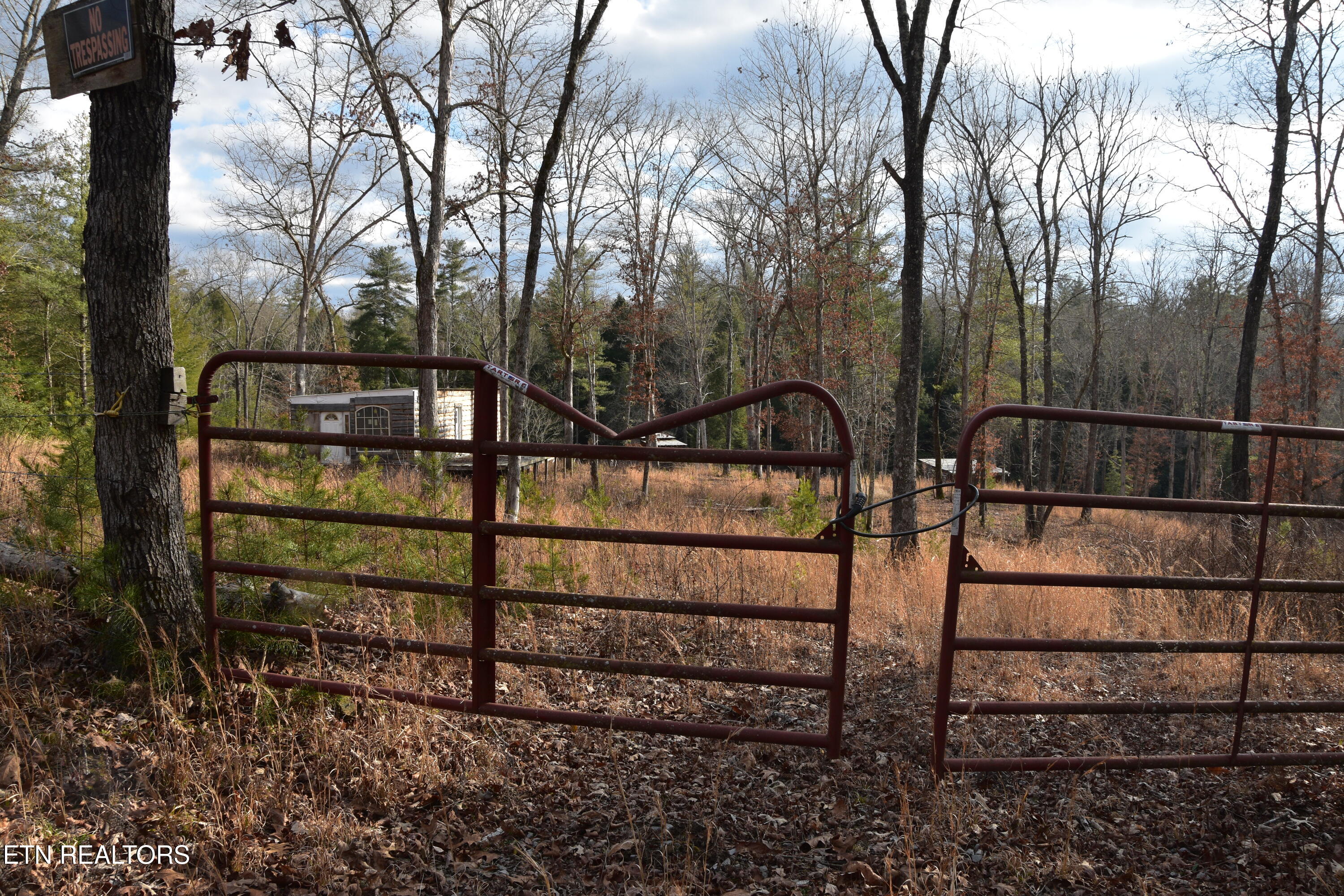 566 Williams Branch Road Lancing, TN 37770 - Photo 2 of 34 DSC_1375