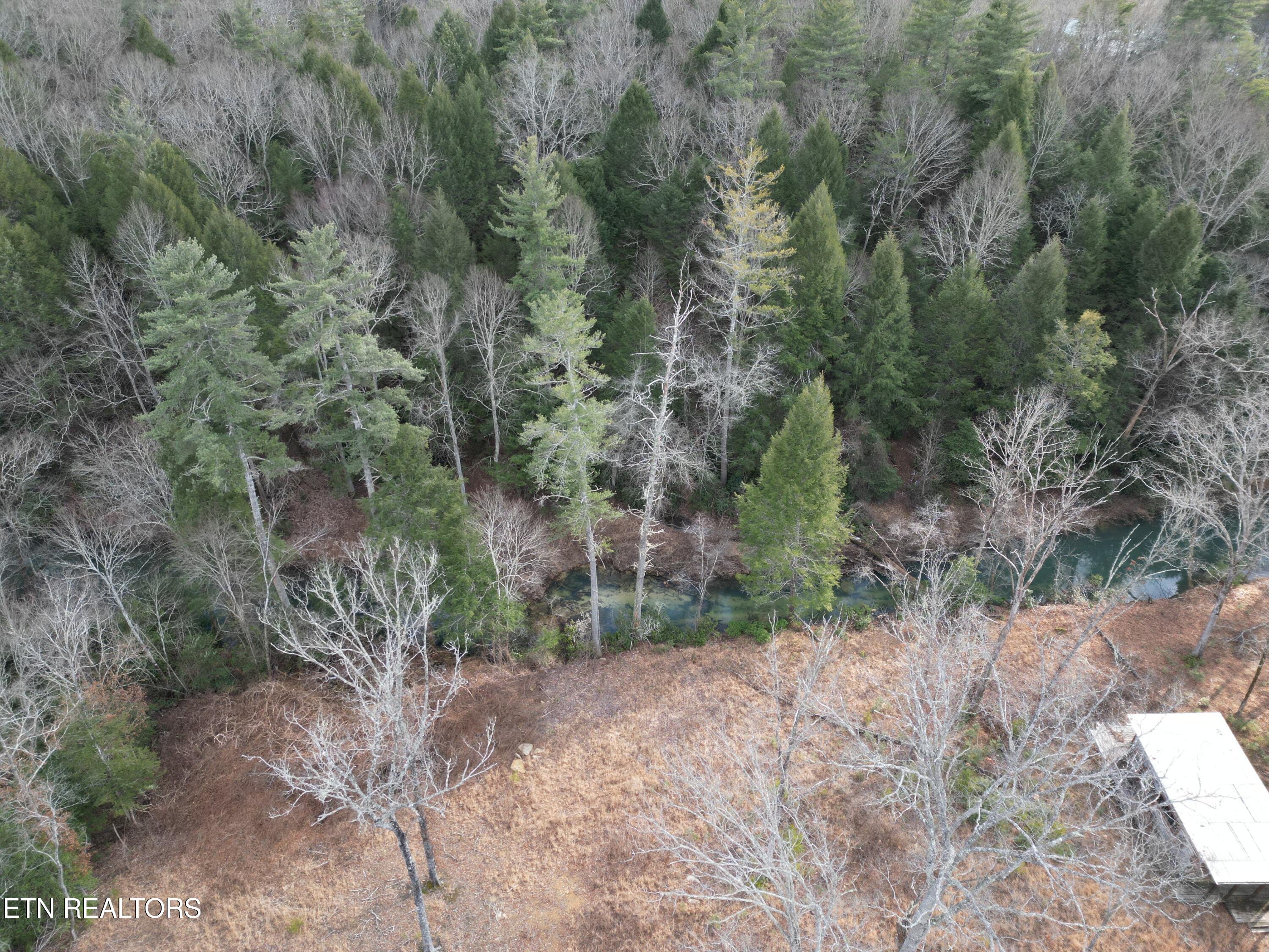 566 Williams Branch Road Lancing, TN 37770 - Photo 22 of 34 DJI_0398