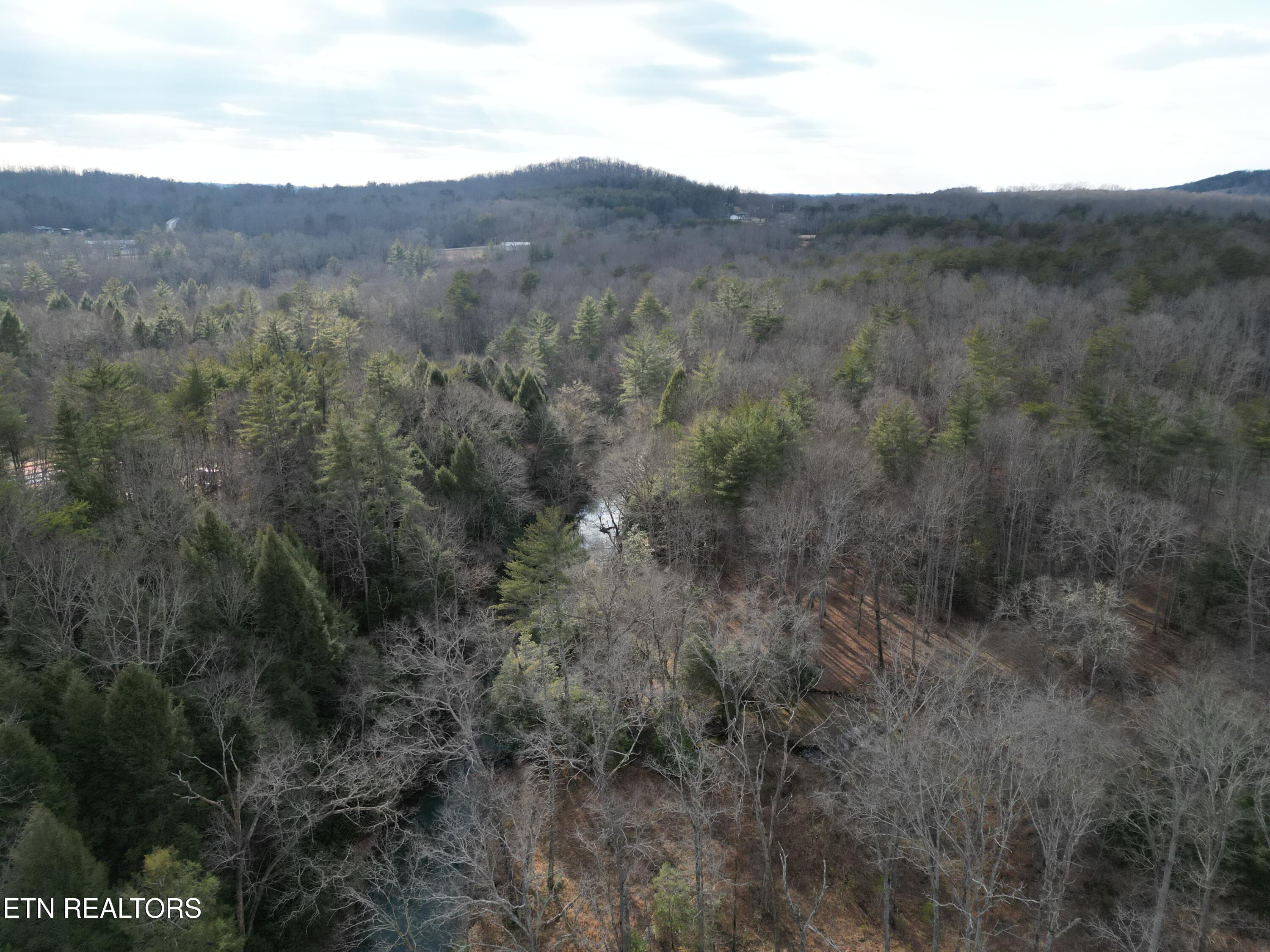 566 Williams Branch Road Lancing, TN 37770 - Photo 24 of 34 DJI_0400