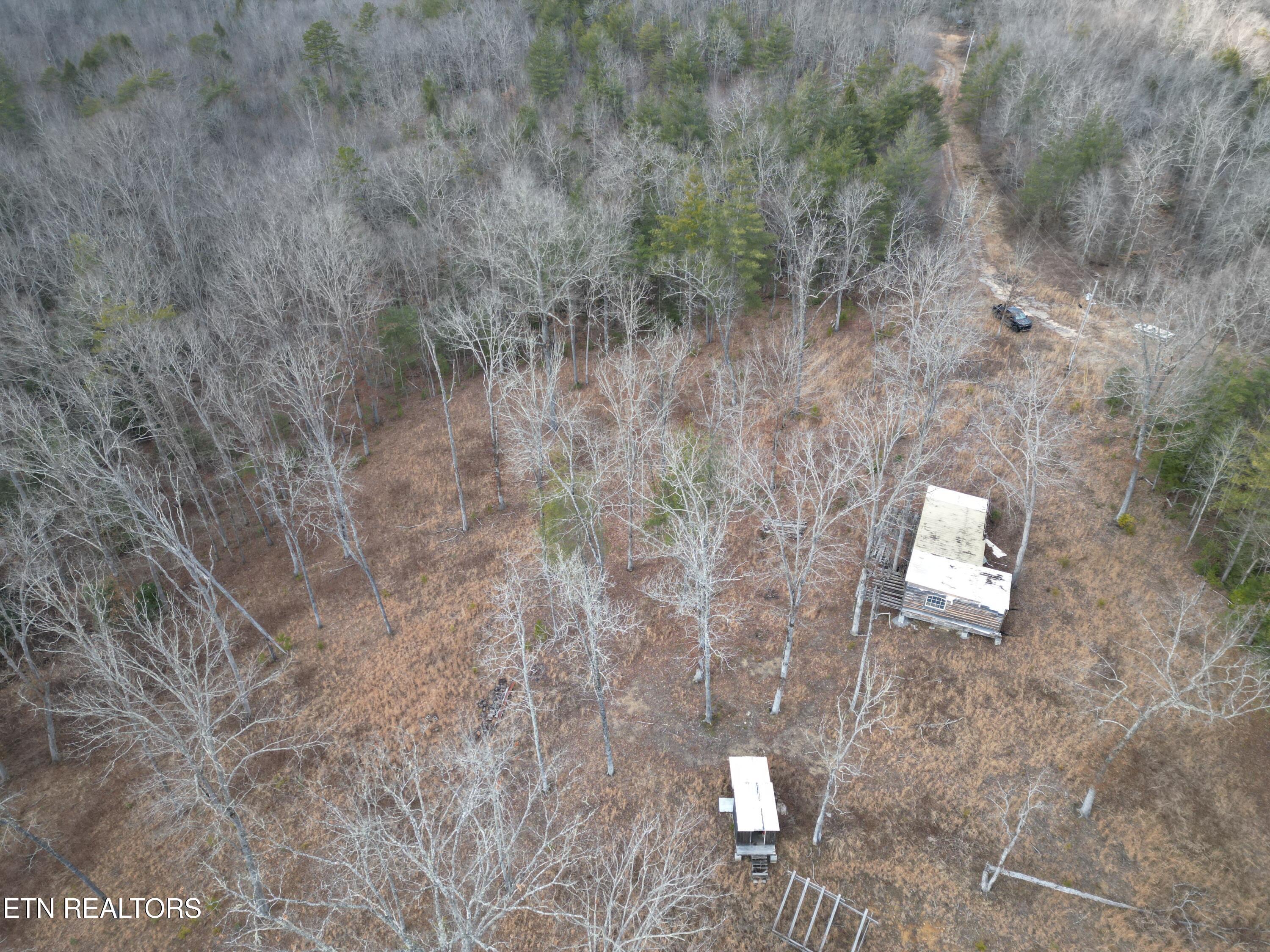 566 Williams Branch Road Lancing, TN 37770 - Photo 26 of 34 DJI_0402