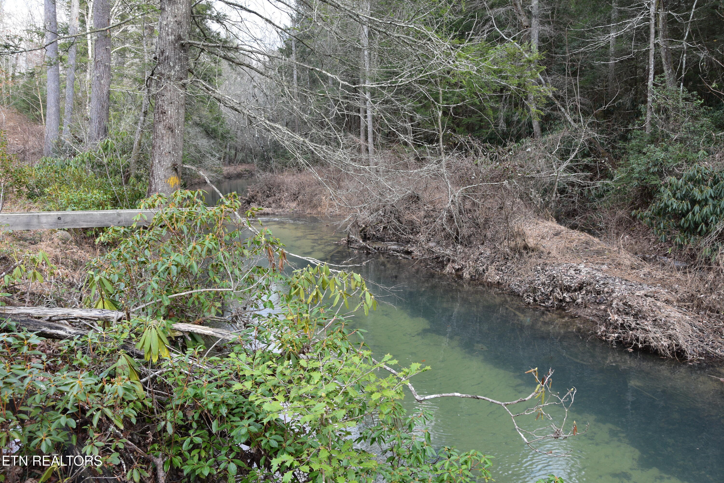 566 Williams Branch Road Lancing, TN 37770 - Photo 30 of 34 DSC_1389