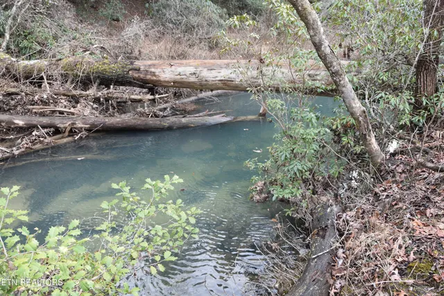 $95,000 | 566 Williams Branch Road, Lancing, TN 37770