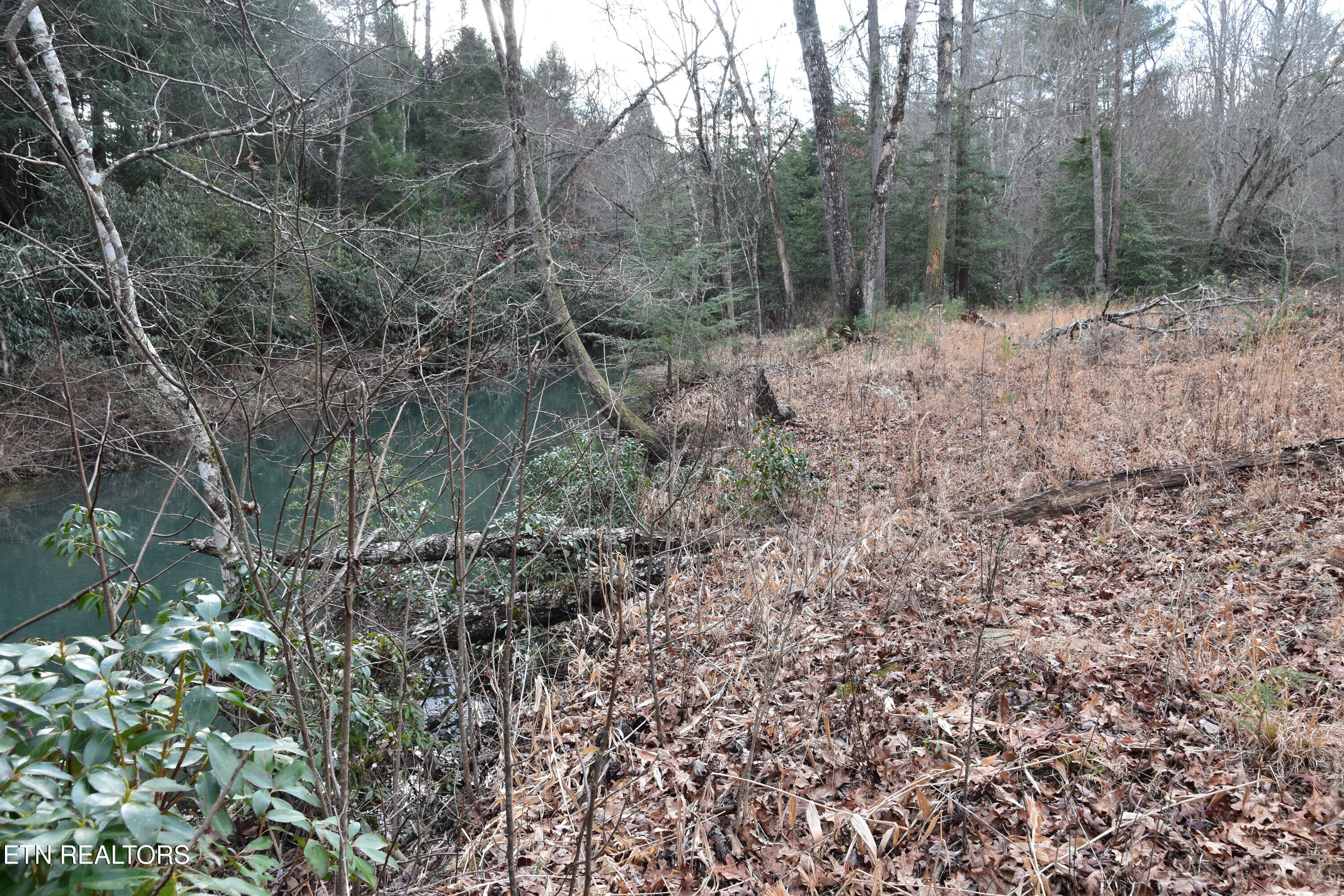 566 Williams Branch Road Lancing, TN 37770 - Photo 32 of 34 DSC_1391