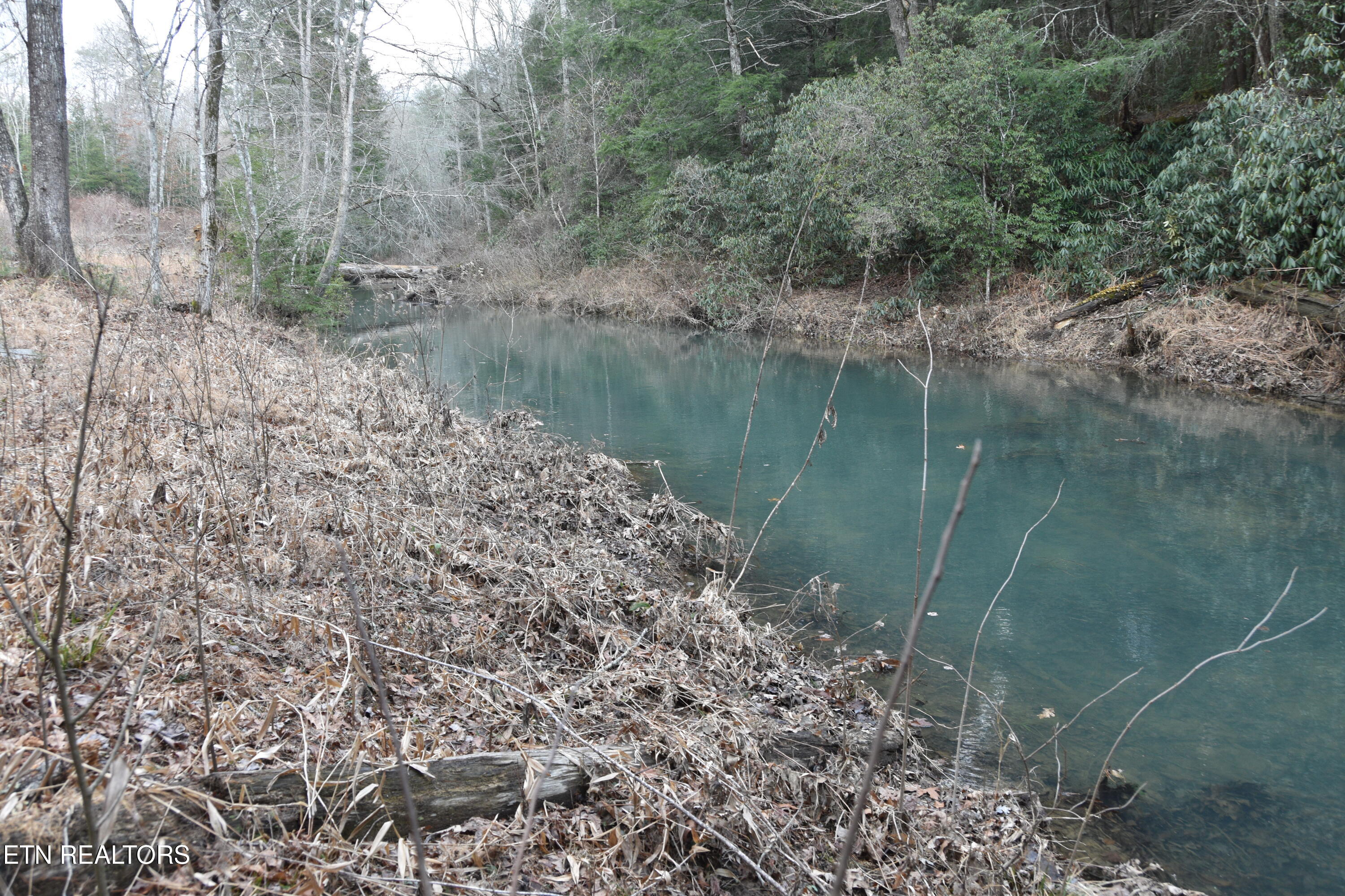 566 Williams Branch Road Lancing, TN 37770 - Photo 33 of 34 DSC_1393