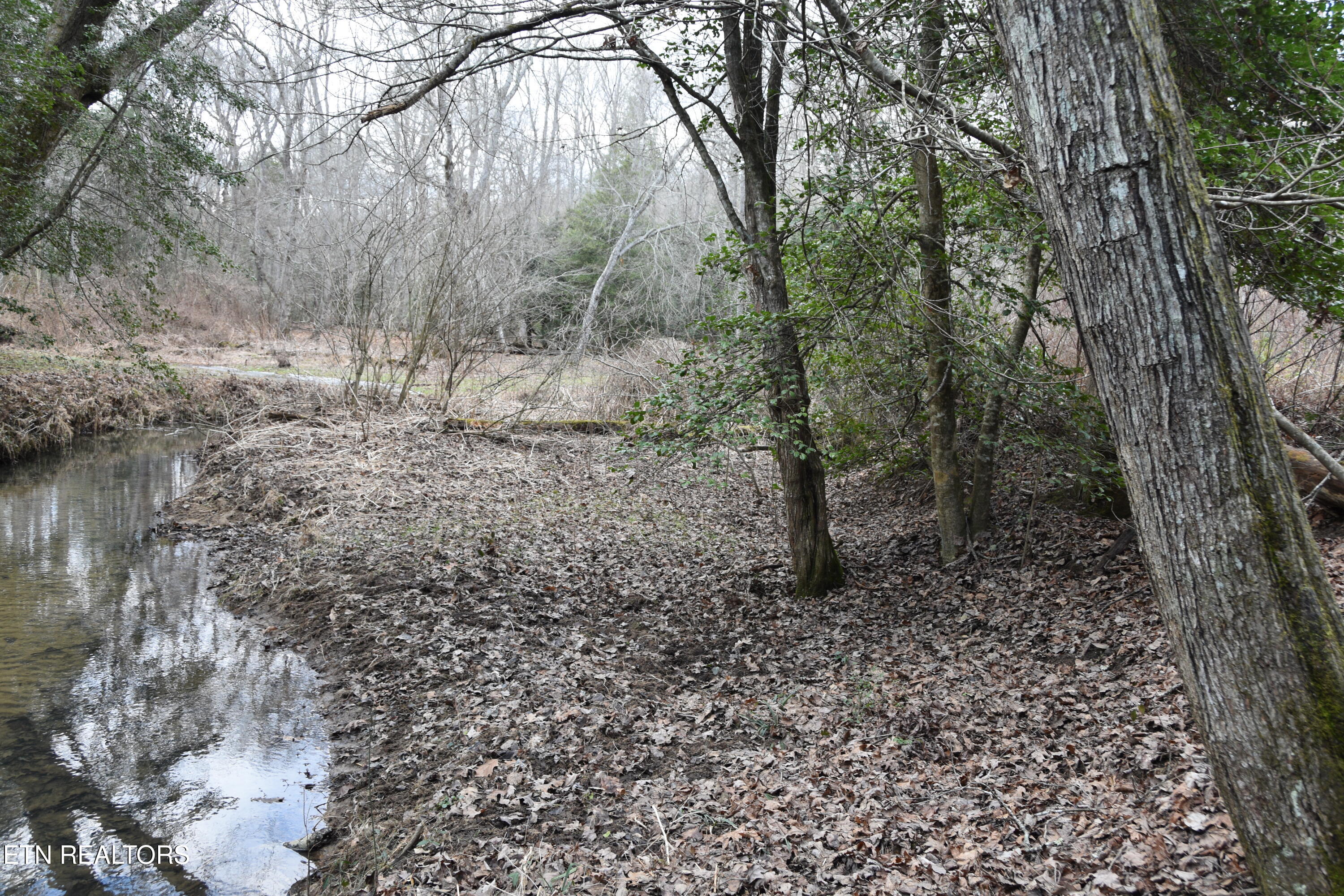 566 Williams Branch Road Lancing, TN 37770 - Photo 34 of 34 DSC_1394