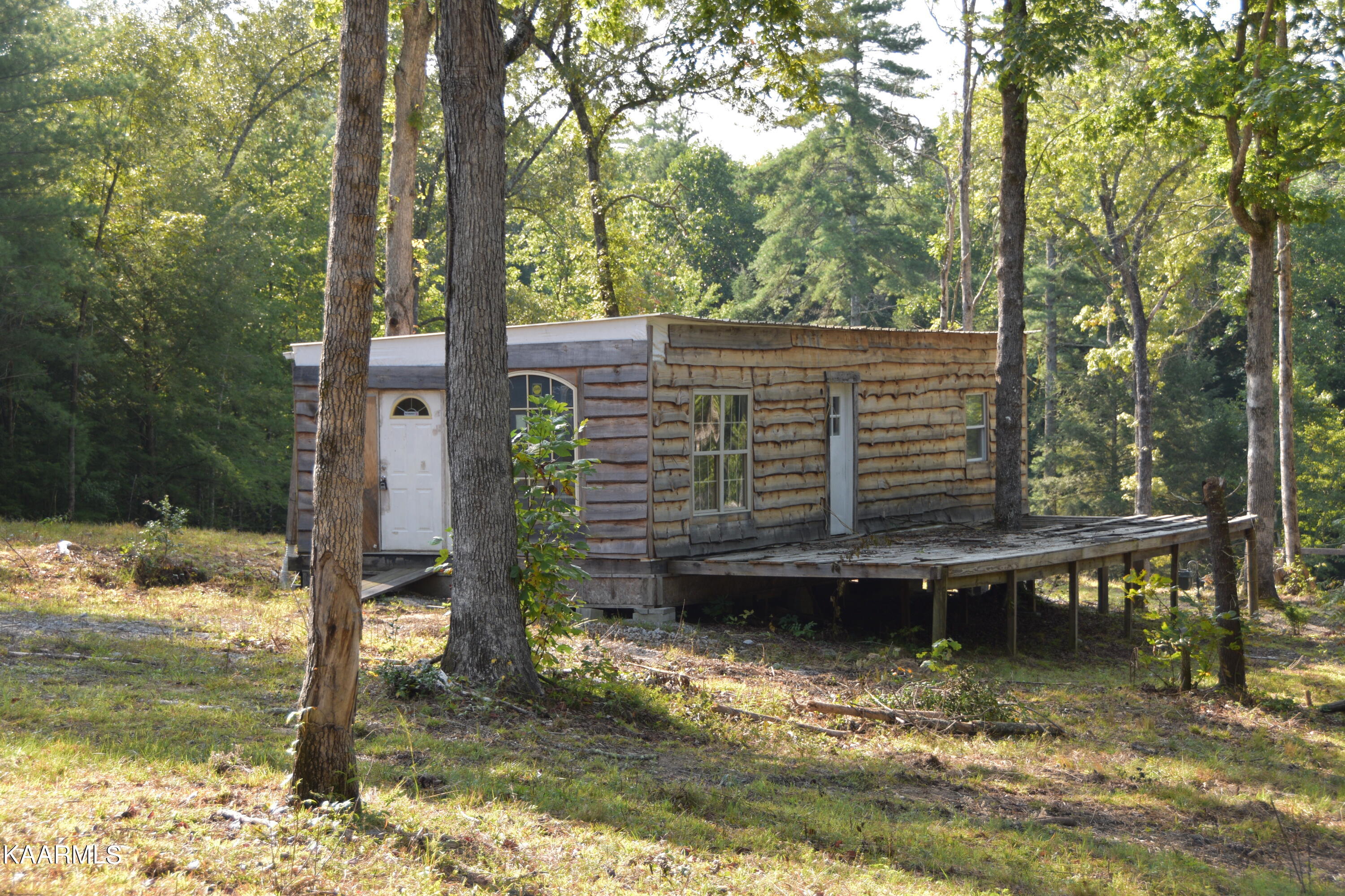 566 Williams Branch Road Lancing, TN 37770 - Photo 6 of 34 Cabin1