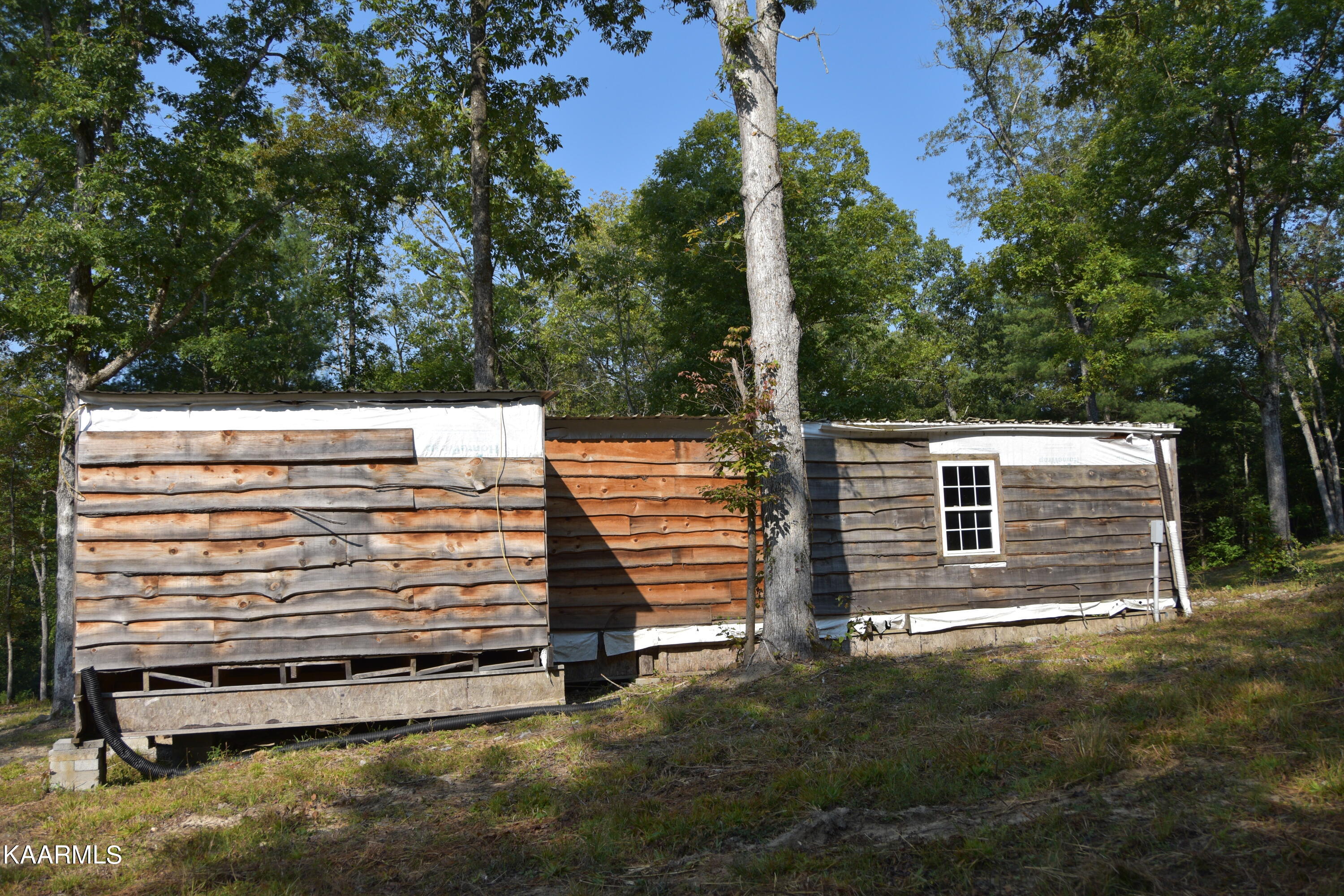 566 Williams Branch Road Lancing, TN 37770 - Photo 7 of 34 cabin1