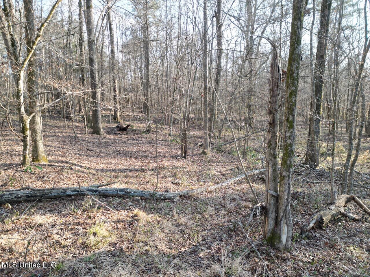 1004 Joe Good Road Lorman, MS 39096 - Photo 17 of 57 DJI_0275 Large