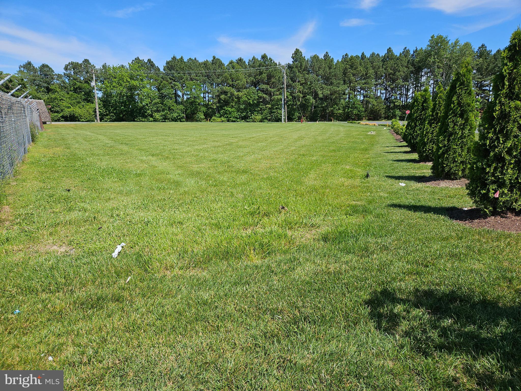 Woods Road Cambridge, MD 21613 - Photo 2 of 7 a view of a lush green space