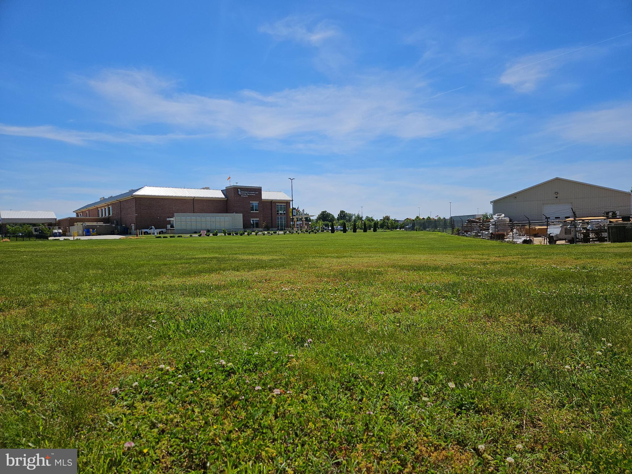 Woods Road Cambridge, MD 21613 - Photo 6 of 7 a view of a grassy field with an trees