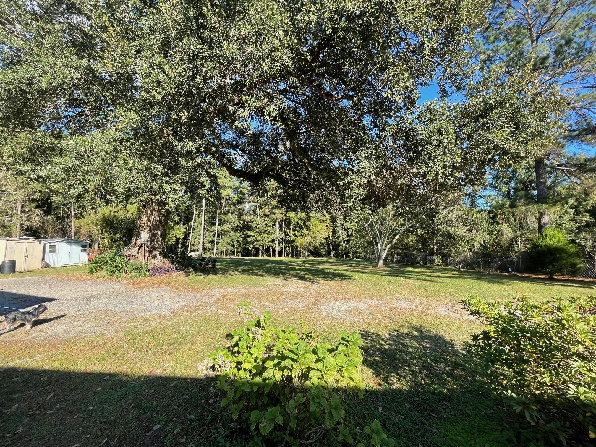 838 Highway 61 Ridgeville, SC 29472 - Photo 29 of 31 IMG_7858