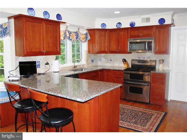 29 Cool Valley Road Malvern, PA 19355 - Photo 19 of 24 Kitchen