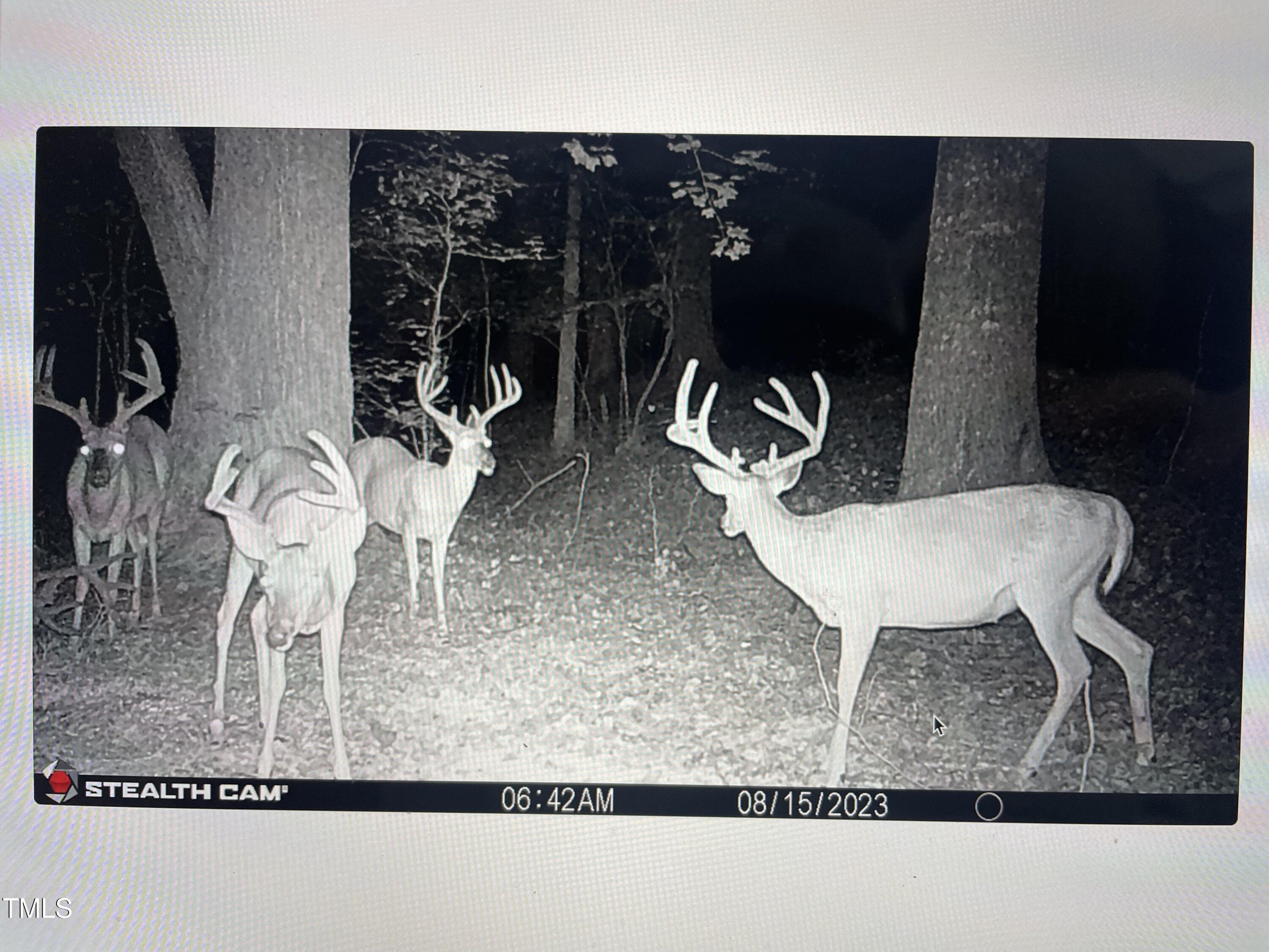 7250 Shoe Road Burlington, NC 27215 - Photo 17 of 18 DEER