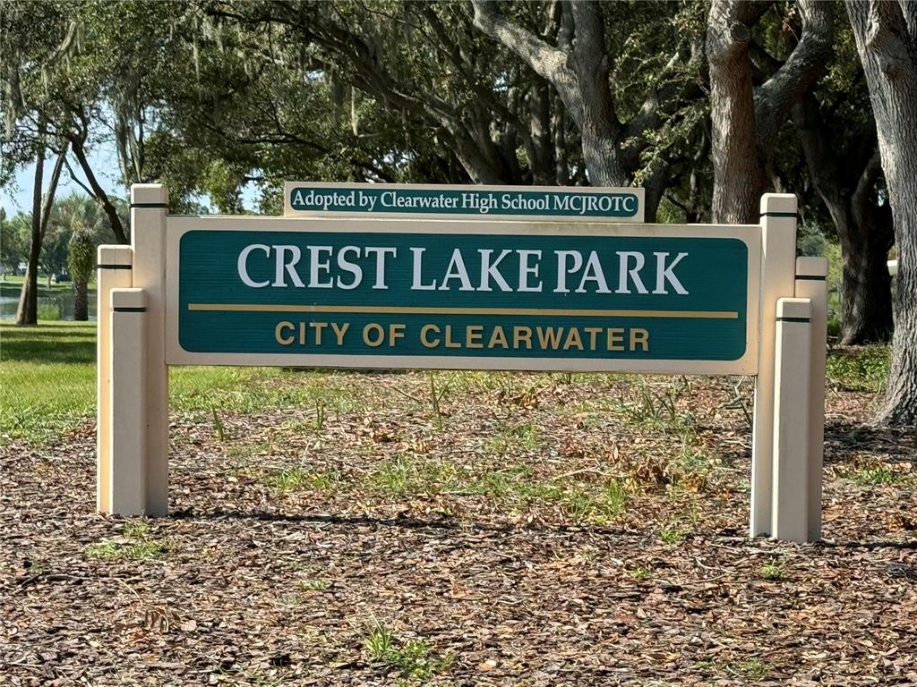 1493 Cleveland Street Clearwater, FL 33755 - Photo 8 of 64