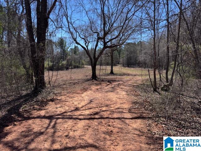 684 County Road, Unit 63 Roanoke, AL 36274 - Photo 8 of 11 Gallery Image 8