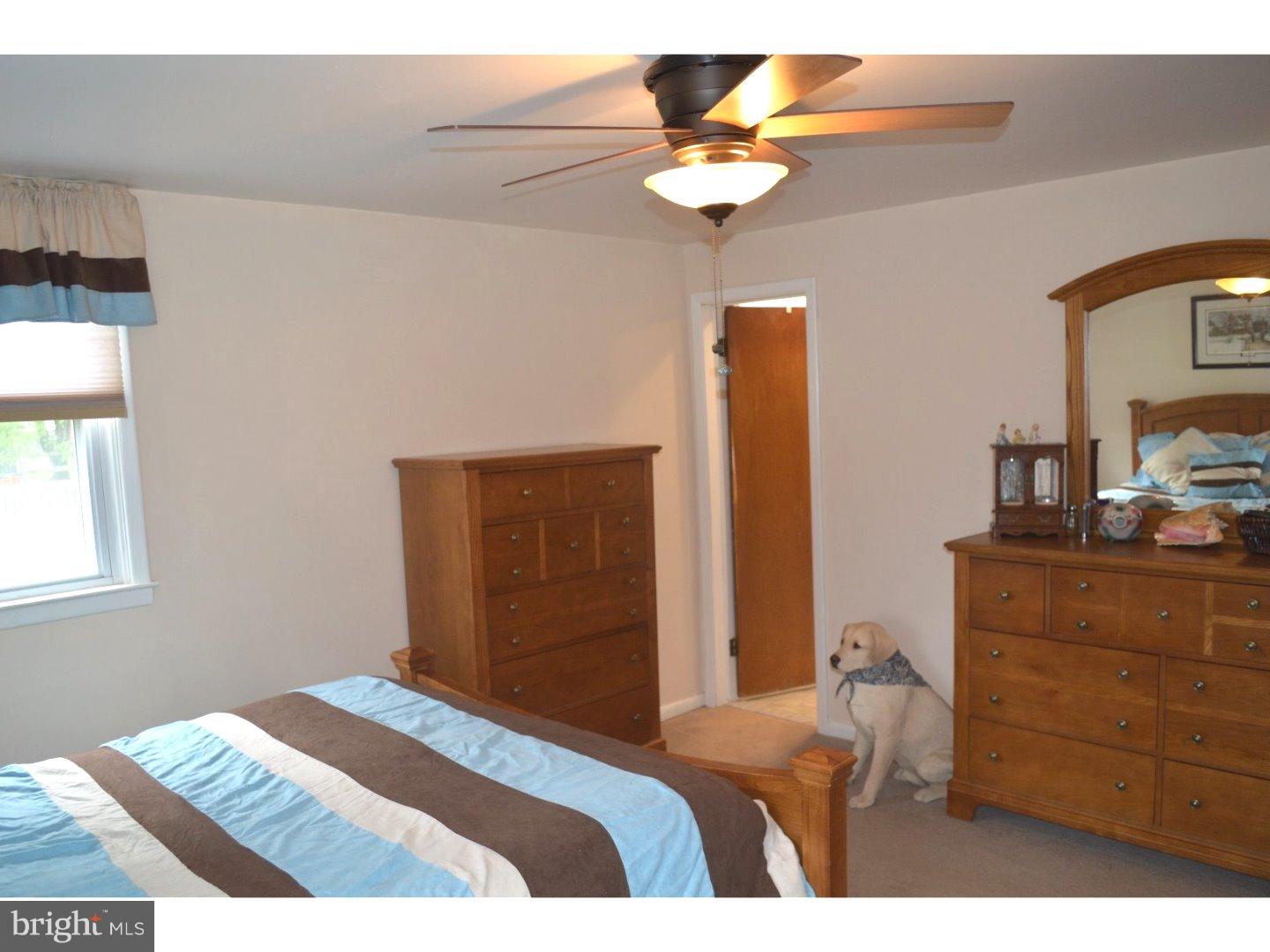 709 Cambridge Road Brookhaven, PA 19015 - Photo 16 of 23 Bedroom - Main