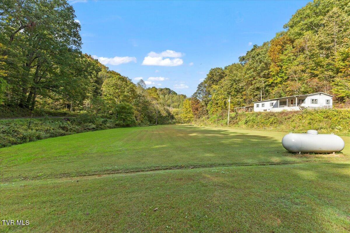 177 Helton Hollow Road Eidson, TN 37731 - Photo 36 of 61 Font yard