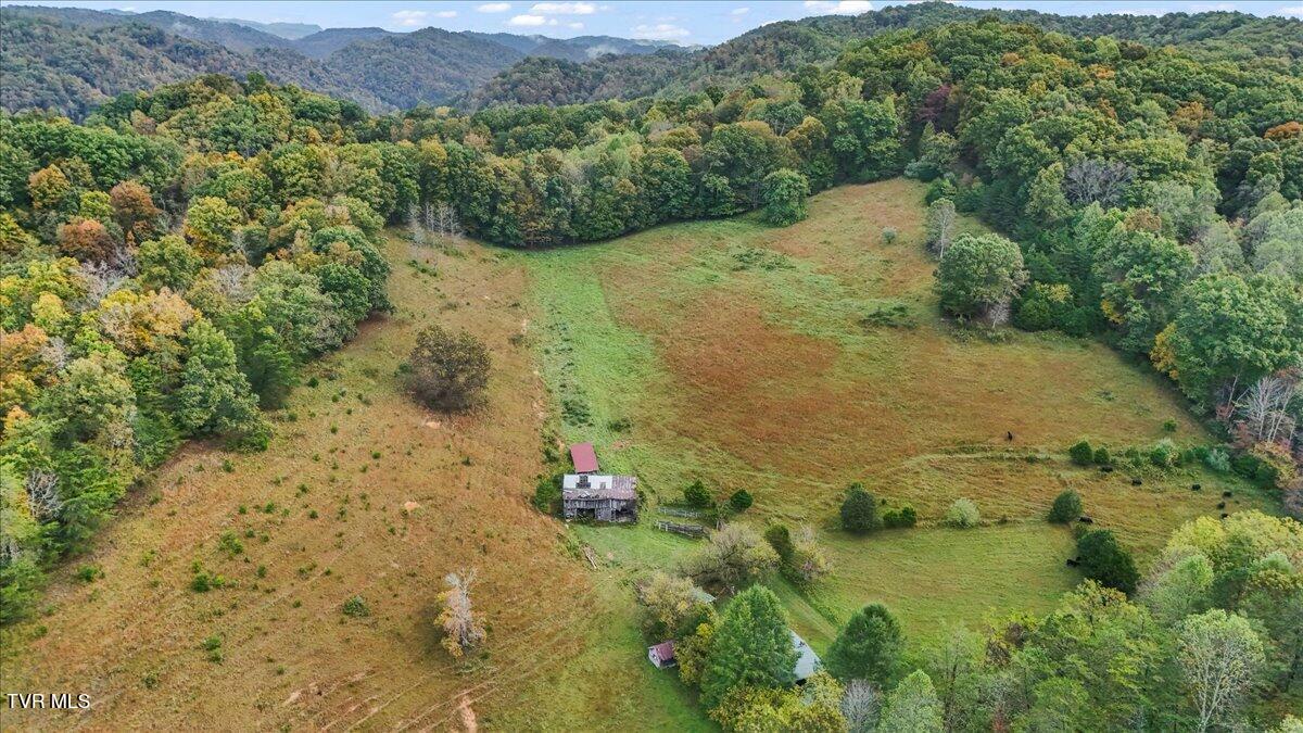 177 Helton Hollow Road Eidson, TN 37731 - Photo 49 of 61 49-DJI_20251008095232_0154_D