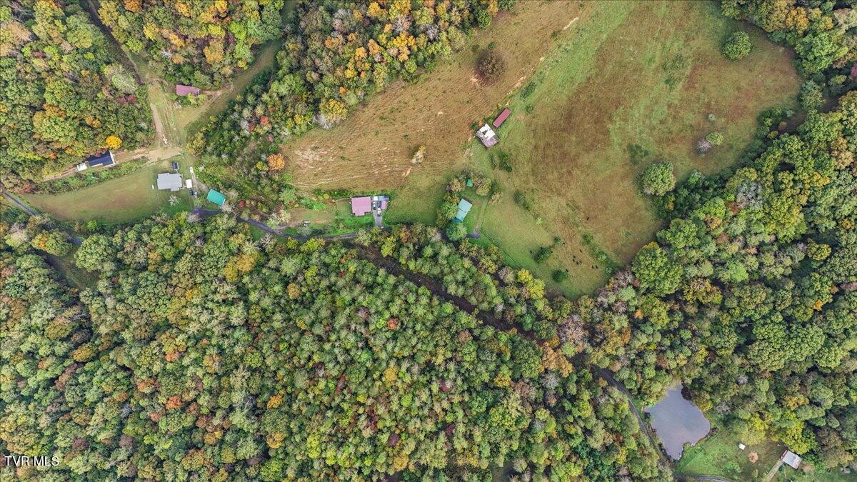 177 Helton Hollow Road Eidson, TN 37731 - Photo 50 of 61 51-DJI_20251008095538_0161_D