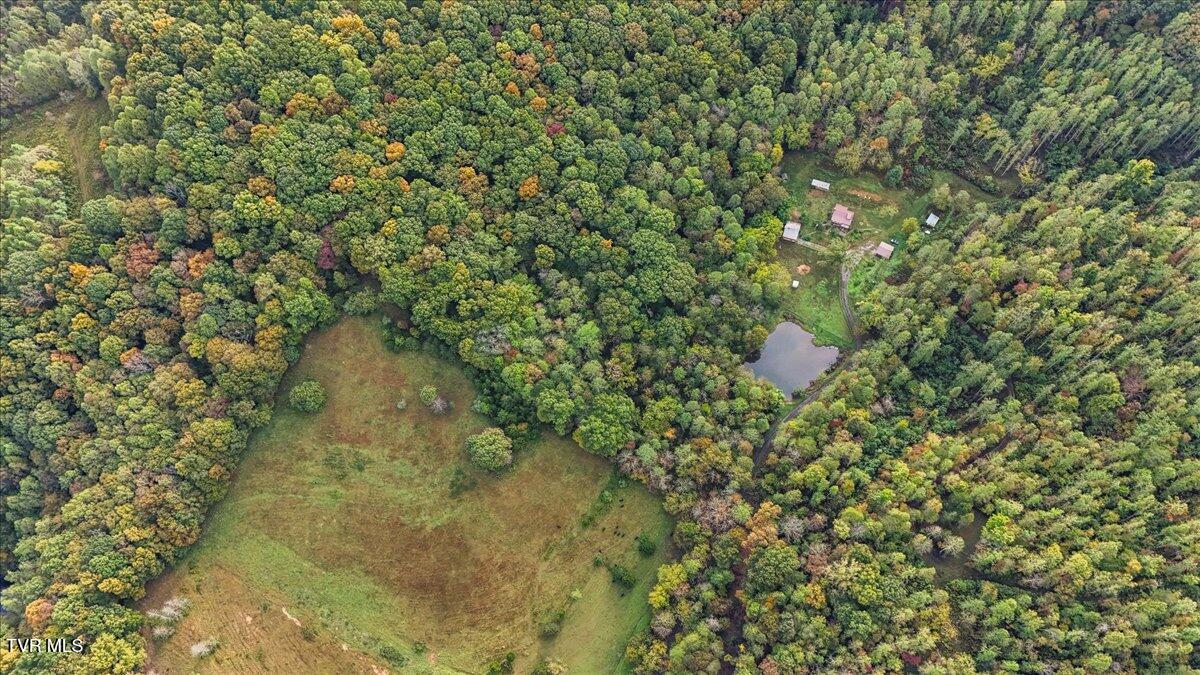 177 Helton Hollow Road Eidson, TN 37731 - Photo 51 of 61 52-DJI_20251008095605_0165_D