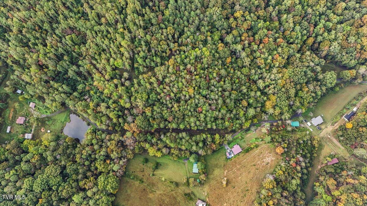 177 Helton Hollow Road Eidson, TN 37731 - Photo 52 of 61 53-DJI_20251008095613_0166_D