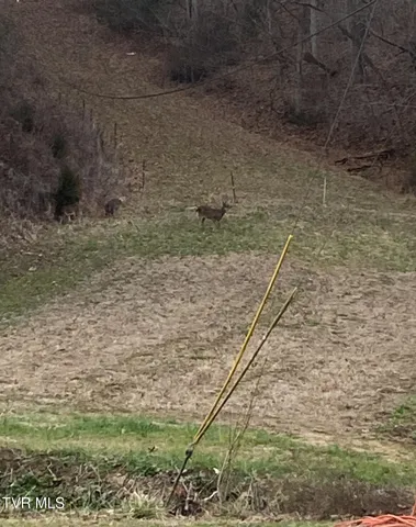 $375,000 | 177 Helton Hollow Road, Eidson, TN 37731