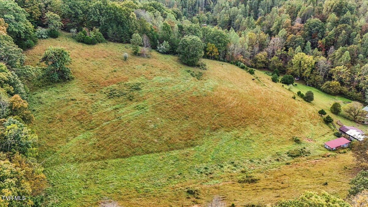 177 Helton Hollow Road Eidson, TN 37731 - Photo 8 of 61 Pasture