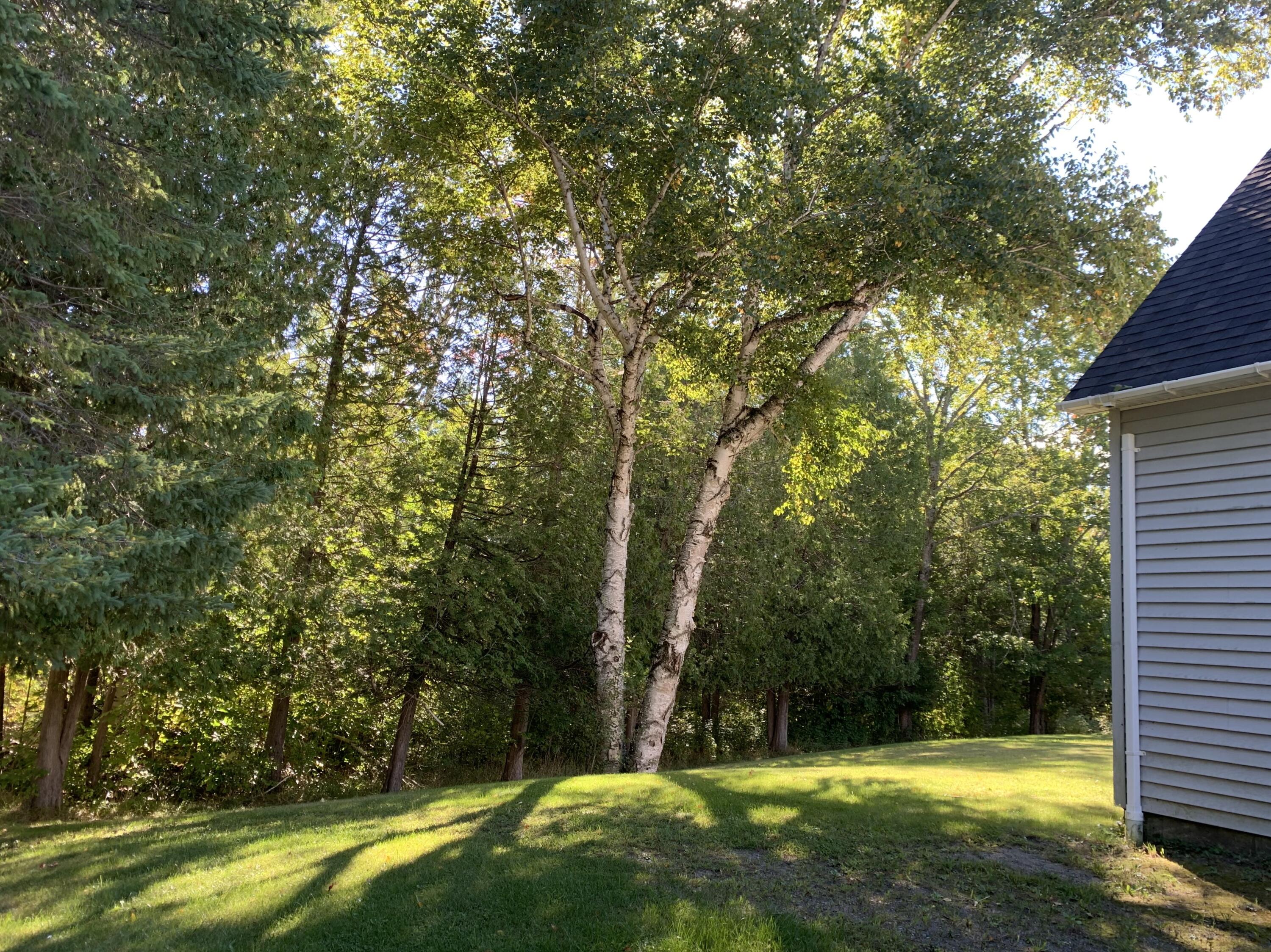 20 Foss Hill Road Waterville, ME 04901 - Photo 62 of 70 62