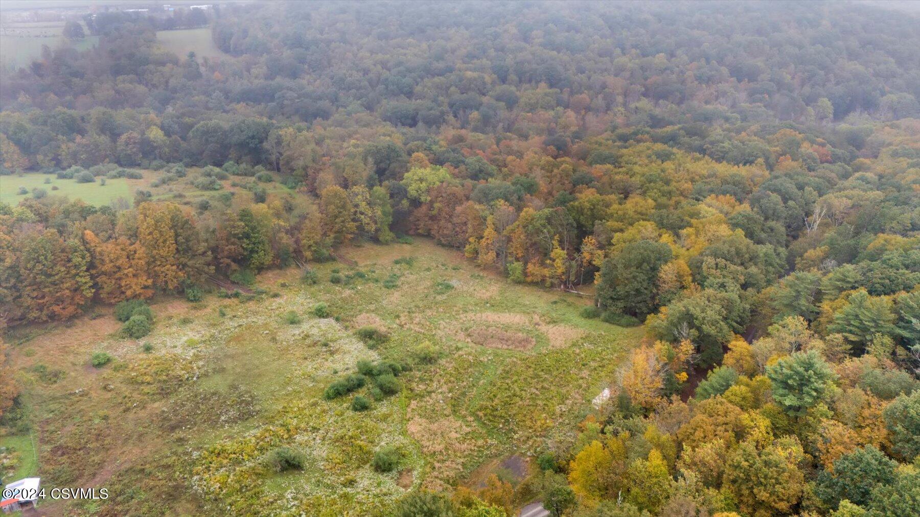 Milroy Road Millville, PA 17846 - Photo 3 of 12