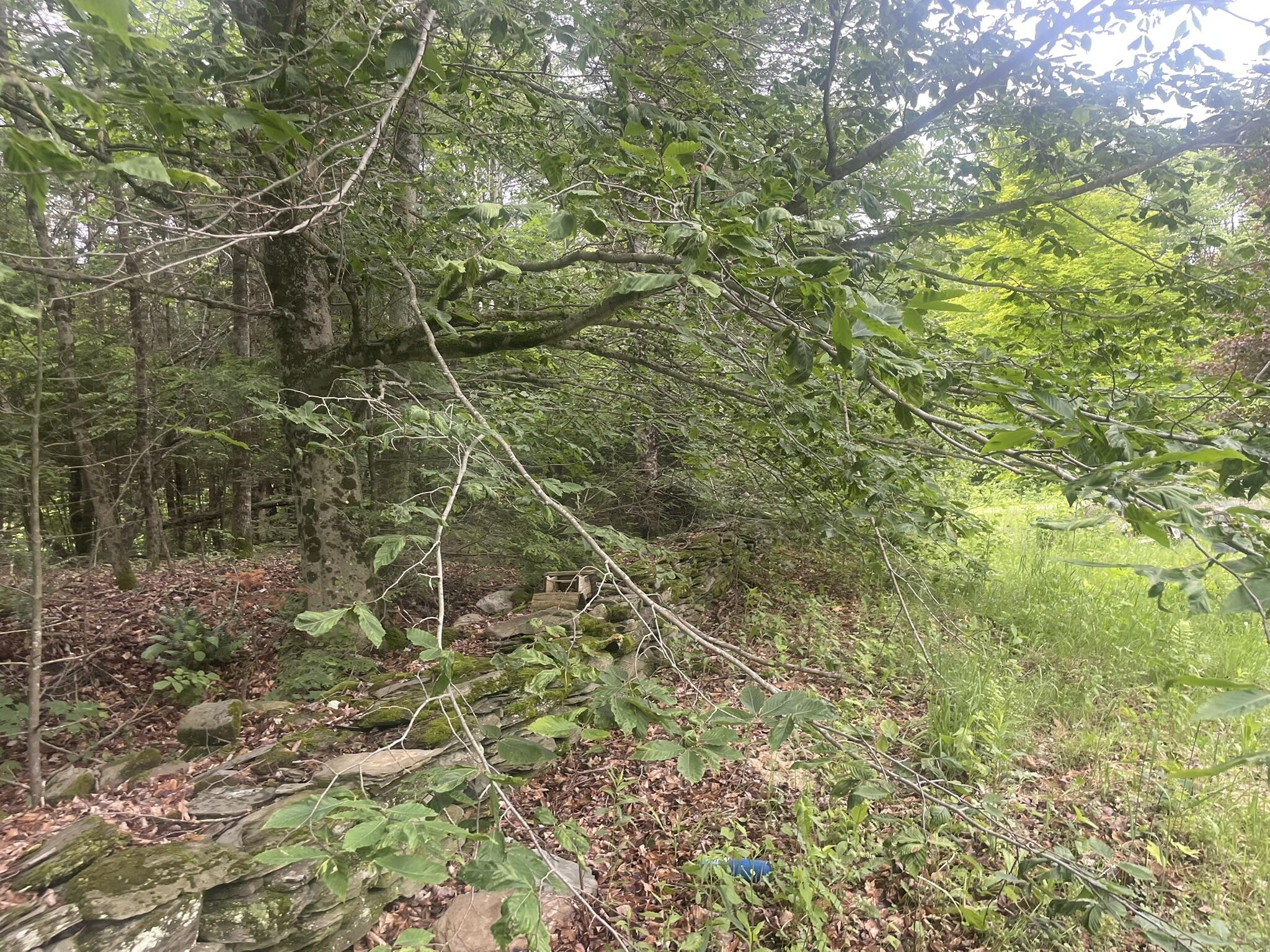 1075 Hill Road Clinton, ME 04927 - Photo 143 of 172 IMG_6241