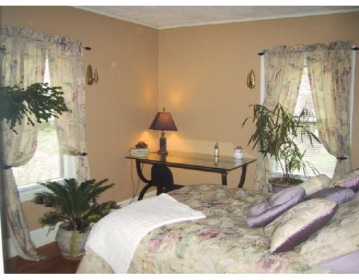 42 Harland Road Waltham, MA 02453 - Photo 5 of 6 a living room with furniture and a potted plant
